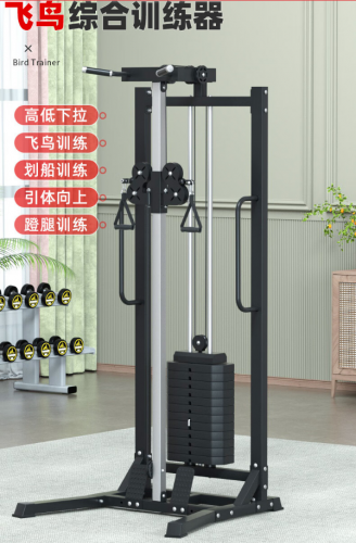 單邊飛鳥訓(xùn)練器