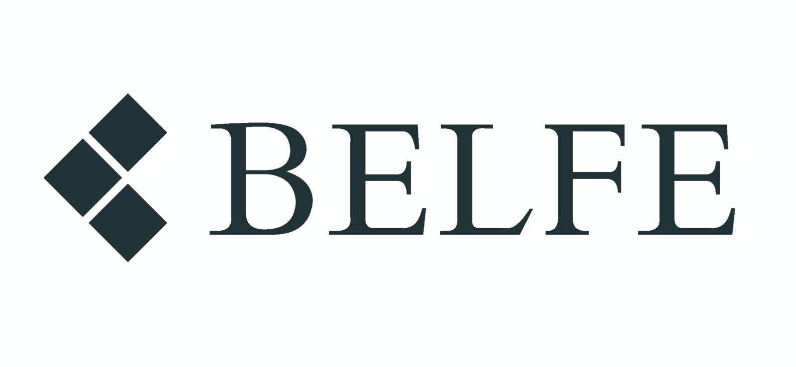 BELFE LOGO 01.jpg